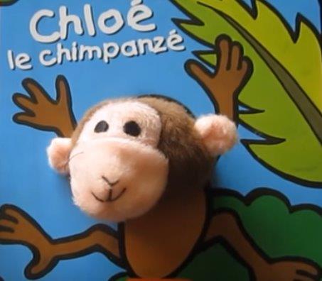 Chloe le chimpanze