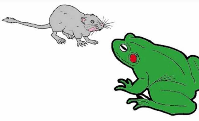 Il topo e la ranocchia