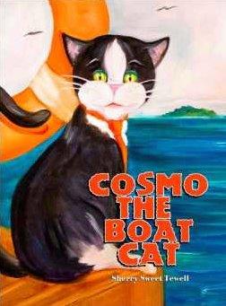 Cosmo The Boat Cat