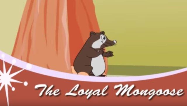 The Loyal Mongoose