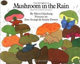Mushroom In the Rain