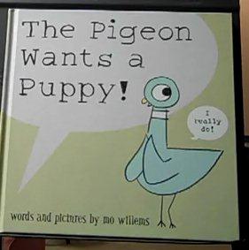 Pigeon Wants A Puppy