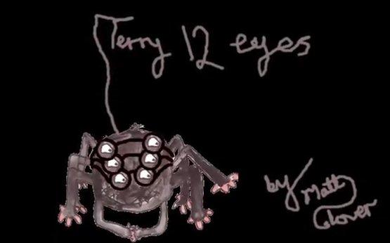 Terry 12 Eyes